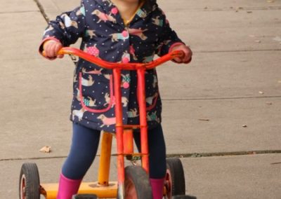 how do petals work again