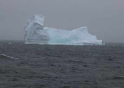 more icebergs