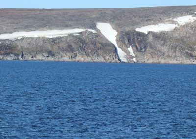 polar bears somewhere