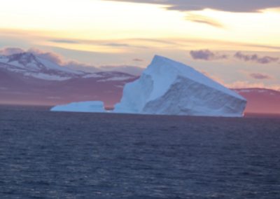 supper time - icebergs