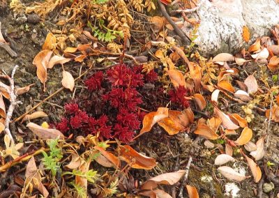 there is colour here